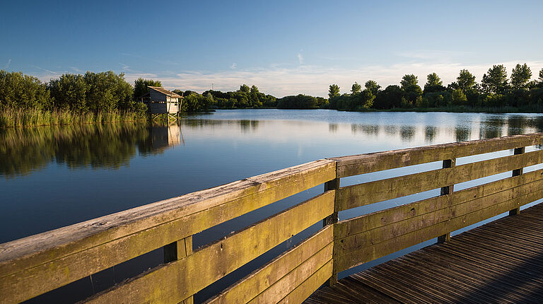 depuis en terrase en bois qui surplombe la Loire, vue sur un abri observatoire des oiseaux en face. L'atmosphere est paisible et donne bien la sensation d'être au coeur d'une nature préservée.